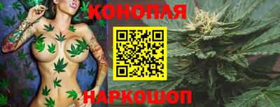 стафф Ачхой-Мартан